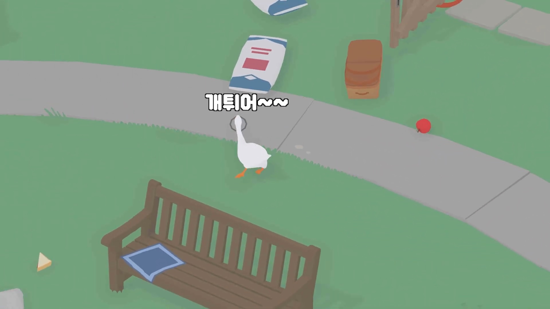 촌비둘기의 거위 진화